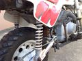 Picture of Honda Monkey Bike Z50 BAJA - Registerable