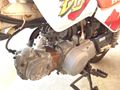 Picture of Honda Monkey Bike Z50 BAJA - Registerable